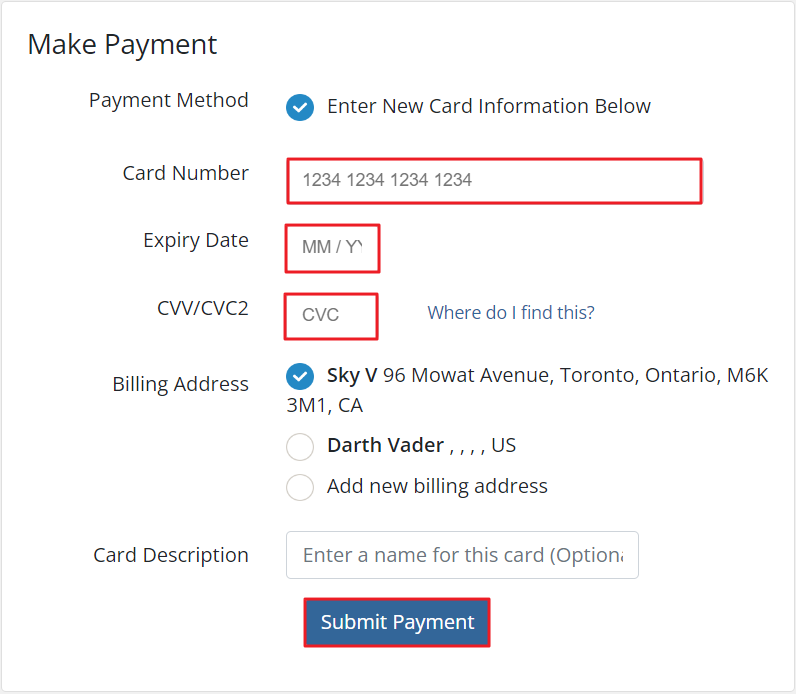 card info submit payment.png